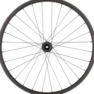 Specialized Wheels>Roval Traverse HD 350 6B