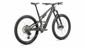 Specialized Trail·Stumpjumper>Stumpjumper 15 Expert