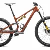 Specialized Trail·Stumpjumper>Stumpjumper 15 Öhlins Coil